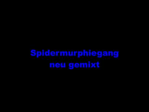 Spidermurphiegang Schickeria Mix