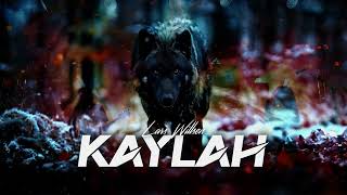 Lars Willsen - Kaylah (Synth Pop / Rock) | Official Music Video