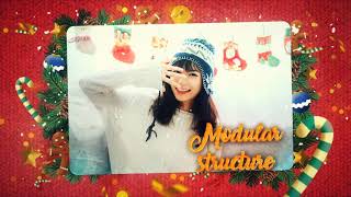 Winter Christmas Photo Slideshow | After Effects project | Videohive template