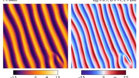 Traveling wave bands in the non-reciprocal Cahn–Hilliard model