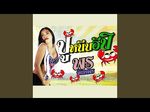 Thai Luk Thung Party Hits Vol. 2: Dance All Day!