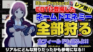 【BLUE PROTOCOL】ブルプロのネームド 全部狩る！！【ブループロトコル】※CBT仕様