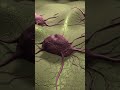 Cancer Breakthrough: Dr. Green's Laser Therapy Explained #shorts