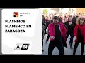 Flashmob flamenco en zaragoza