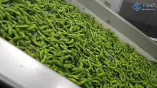 The Process of Production Frozen Edamame