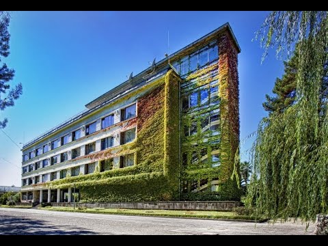 Пансионат Сосновая роща (Абхазия)