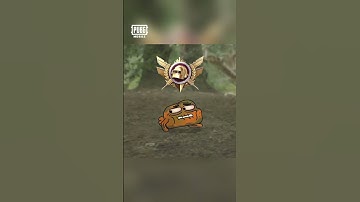 Hành trình leo rank đầy đau thương...  #pubgmobilevietnam #pubgmobile