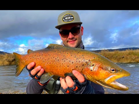 Best Trout fishing in Australia? Eucumbene River Spawn 2021