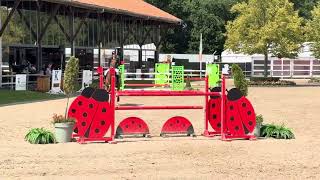 Download Lagu Nibbit v highway tn x Verdi @ CSI Zuidwolde 2nd place MP3 Download Lagu Nibbit v highway tn x Verdi @ CSI Zuidwolde 2nd place MP3