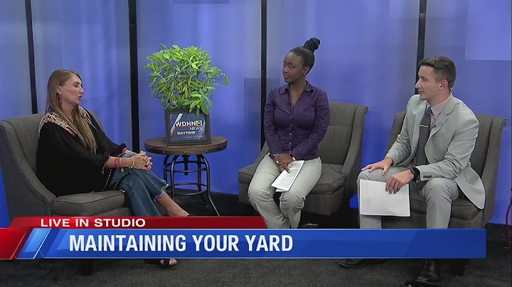 Keeping up with your yard; battling rain, preparin...