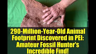 290-Million-Year-Old Animal Footprint Discovered in PEI: Amateur Fossil Hunter's Incredible Find!
