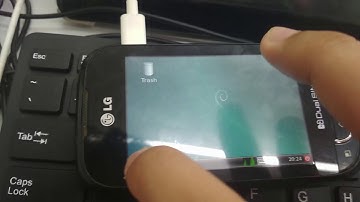 [no vnc + no chroot] Debian GNU/Linux running native on LG P698