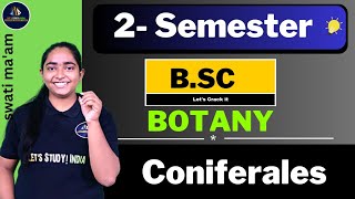 Coniferales | B.Sc. Botany 2nd Semester | Swati Maam |