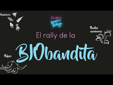 000 El Rally de la BIObandita