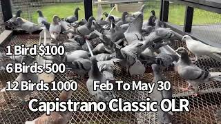 Sign Up Now https://wincompanion.com/oneloft/login/signup1.phpskin=capistranoclassicolr