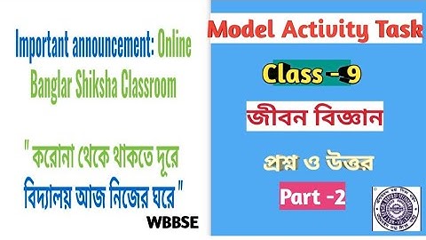 Class IX Life Science Model Activity Task Part-2/WBBSE Cls 9 Life Science Model Activity Task Part-2