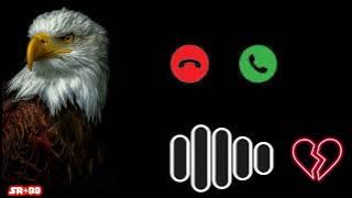 viral new ringtone 2023 #ringtone #newringtone
