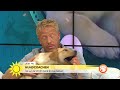 Hundcoachen – så hjälper du din hund i värmen - Nyhetsmorgon (TV4)