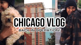 Getting back to work | Chicago Vlog