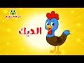 أغنية الديك كوكو كوكو مجموعة اغاني اطفال قناة ضفدوع 