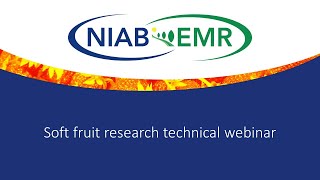 NIAB EMR Soft Fruit Technical Day. Session 3 Disease control and the future of soft fruit production screenshot 4