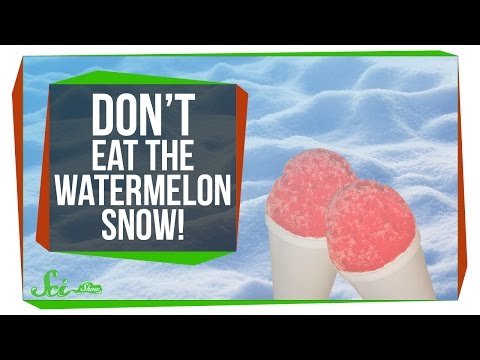 Don't Eat the Watermelon Snow! thumbnail