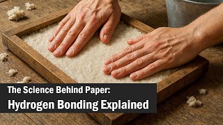 What Holds Paper Together