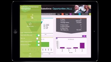 Salesforce® Dashboards & Reports Made Easy With DecisionPoint™