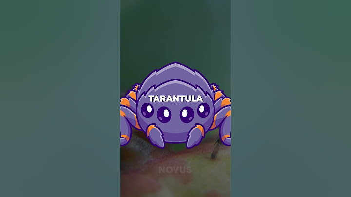 Tarantulas use frogs as pets🐸
