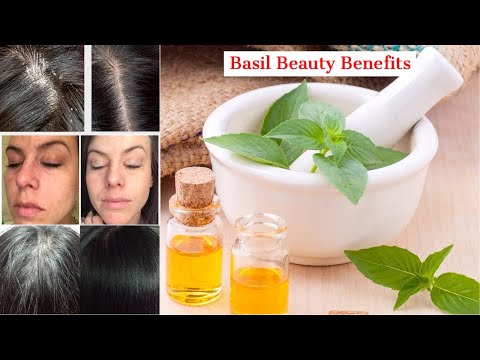 Basil Beauty Benefits | Basil Benefits For Hair And Skin