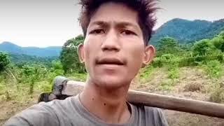 Di hina karena jd anak petani..dan pepatah thailand mengatakan.