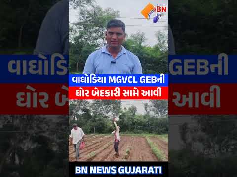 વાઘોડિયા MGVCL GEB ની ઘોર બેદકારી સામે આવી