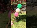 Dango🍡