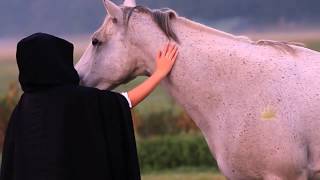 Makis Ablianitis ~ Love Secret