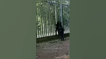 الهجرة الي اوربا عبر حدود بيلاروسيا نحو بولندا اكسبلور Shortos Reels الهجرة الغربة 