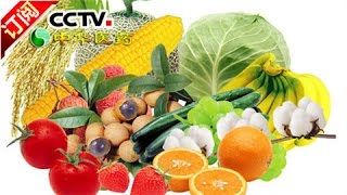 [Chinese Medicine] 20160819 | CCTV-4