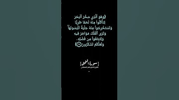 سورة النحل الآية ١٤ الى ١٦ بصوت الشيخ ماهر المعيقلي