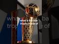This is what every hoops fan dreams of