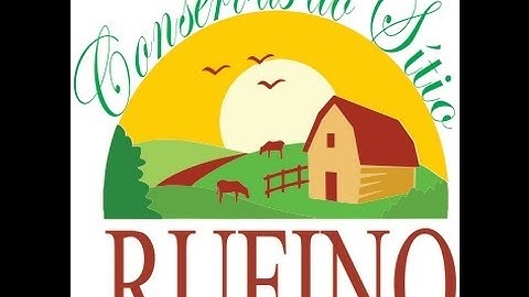 Criar Sistema de Login com Nível de Acesso C# ! Parte 01