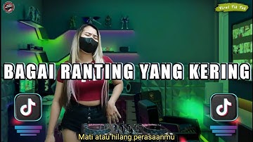 DJ MATI ATAU HILANG PERASAANMU X DJ BAGAI RANTING YANG KERING REMIX FULL BASS VIRAL DI TIK TOK