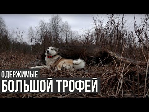 Большой трофей / Одержимые / #15