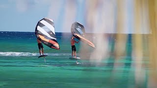 The RRD team in Guadeloupe