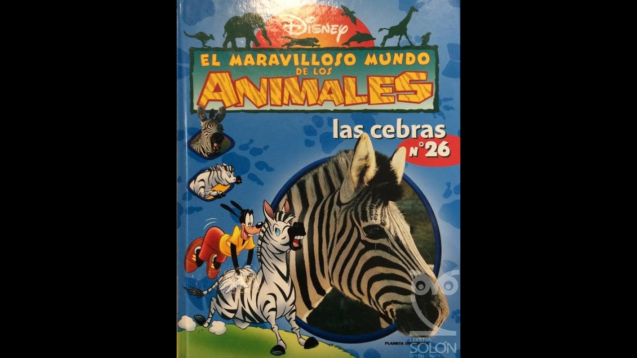 The wonderful world of Disney animals: Zebras - YouTube