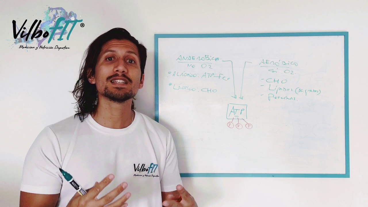 SISTEMAS ENERGÉTICOS