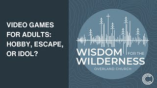 Video Games for Adults: Hobby, Escape, or Idol