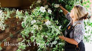 About the Blossom and Prosper online membership Wealth