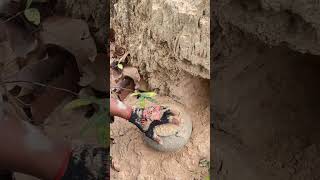finding gold in the forest and love treasure hunters #shortvideo #shorts #shortsfeed #shortsviral