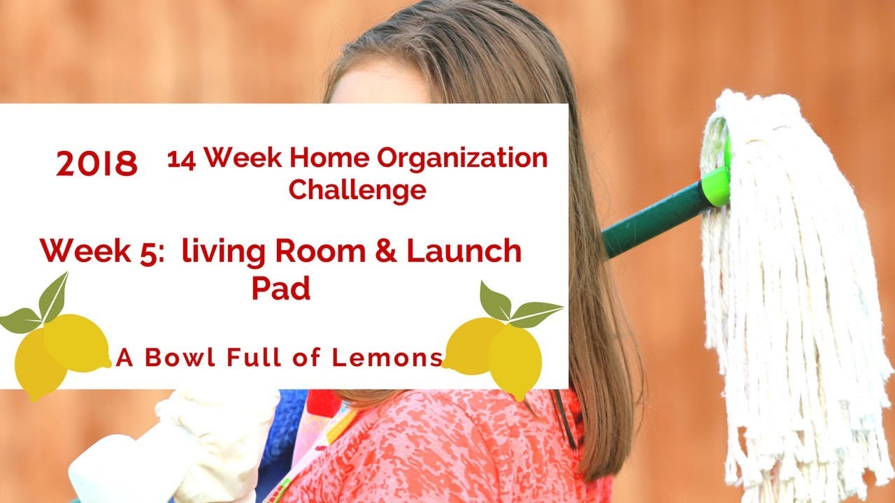 A Bowl Full of LEMONS Home Org Challenge || Week 5-Living Room || CLEAN ...