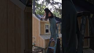 My Chicken Coop Was Too Smallso I Built A Bigger One