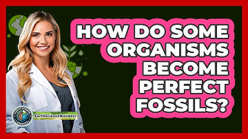 How Do Some Organisms Become Perfect Fossils? - Earth Science Answers